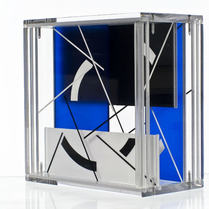 Microcosmos — Inés Silva